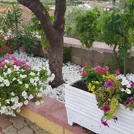 Dom wakacyjny Delle Rose