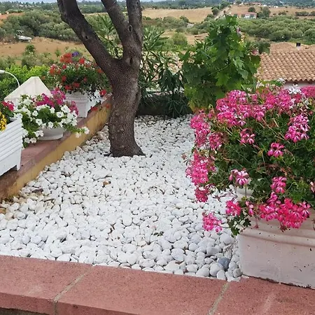 Delle Rose Dom wakacyjny Budoni